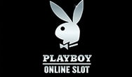 слот Playboy