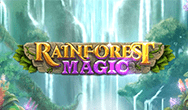 rainforest magic слот