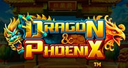 слот dragon and phoenix