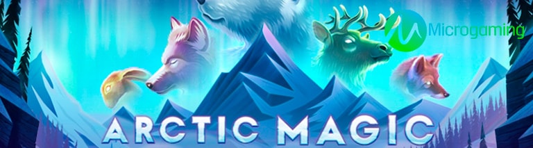 Игровой автомат Arctic Magic